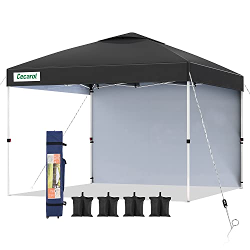 Pro 10x10 Pop Up Canopy Tent, Easy Setup Outdoor Instant Shelter for Patio