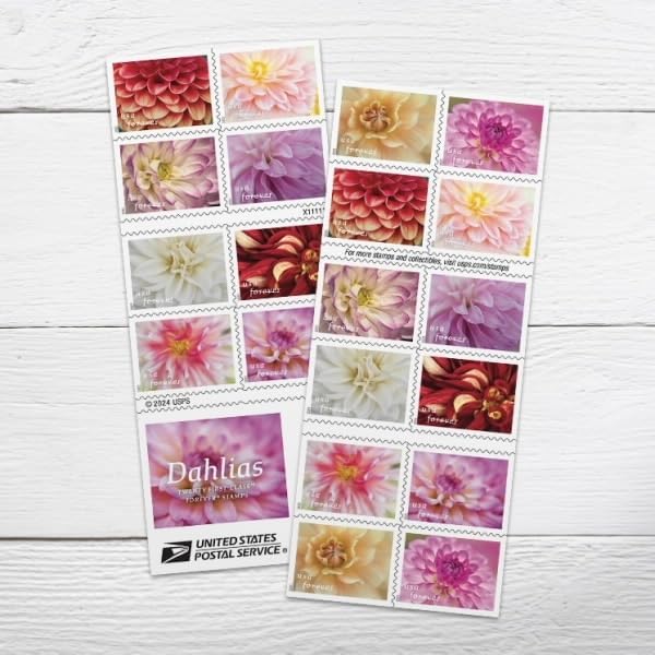 Dahlias 2025 - 5 Sheets / 100 Pcs