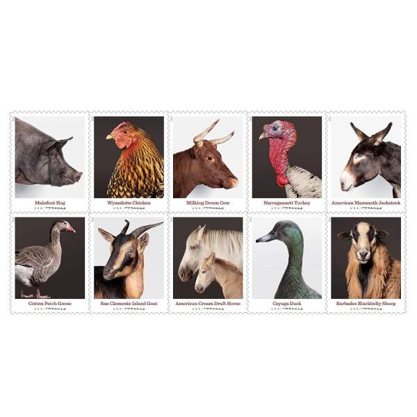 Heritage Breeds 2021 - 5 Sheets / 100 Pcs
