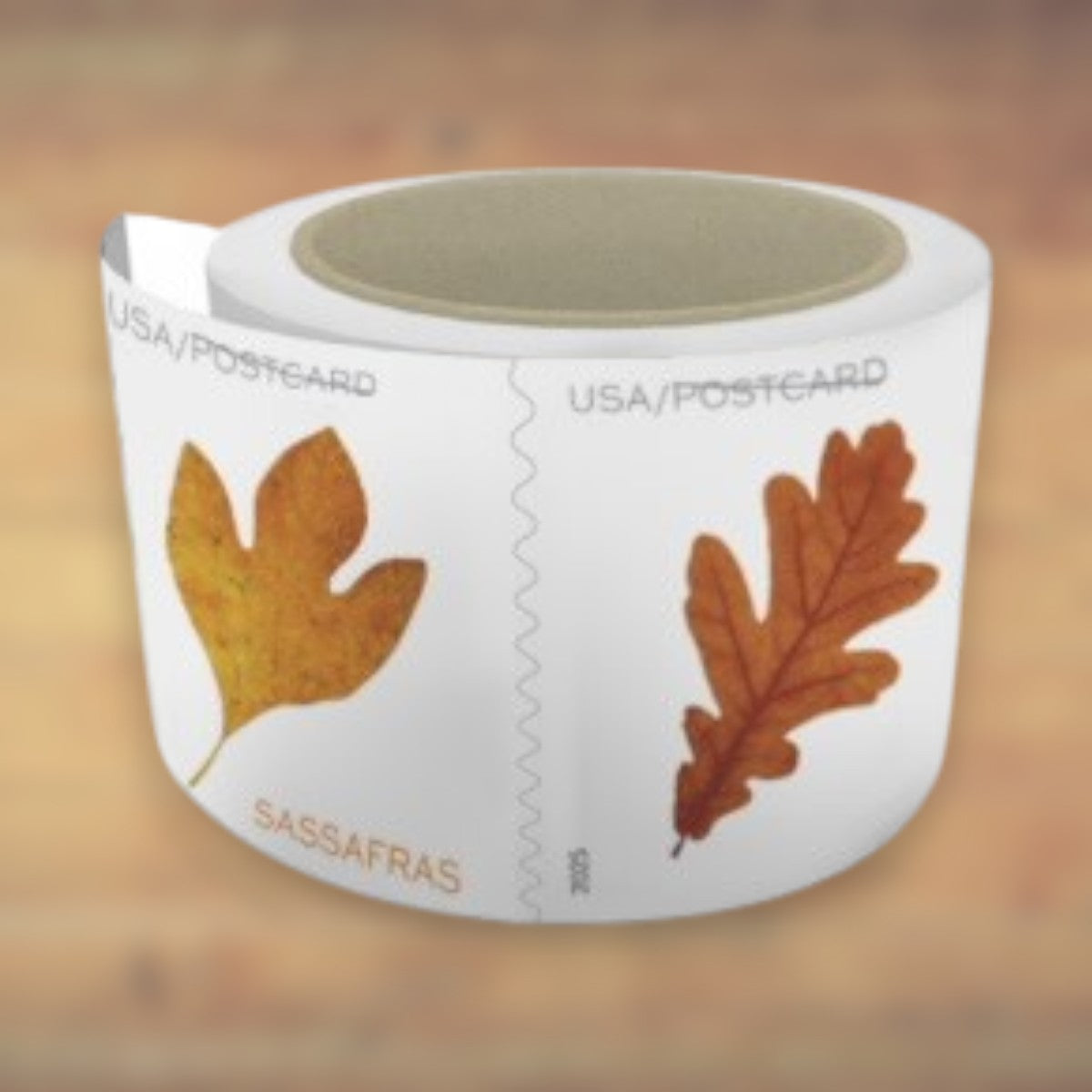 2025 Autumn Leaves Postcard Postage Stamps Coil First-Class Rate