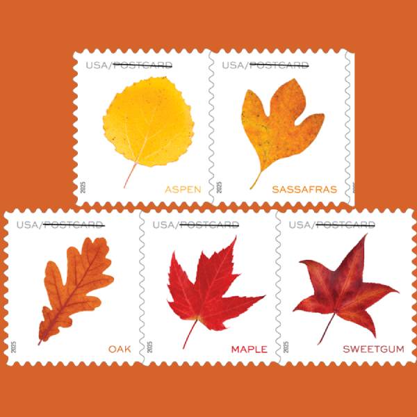 Vibrant Leaves Postcard 2025 - 5 Sheets / 100 Pcs