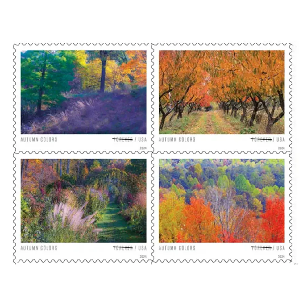 Autumn Colors 2024 - 5 Sheets / 100 Pcs