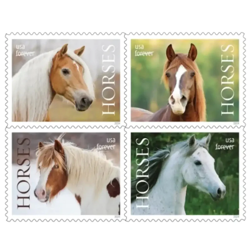 Horses 2024 - 5 Sheets / 100 Pcs