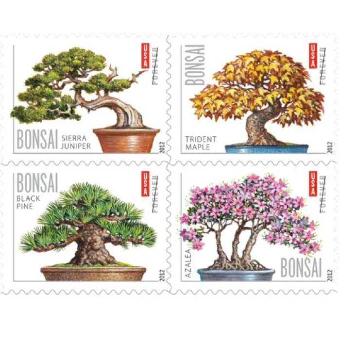 Bonsai tree 2012 - 5 Booklets / 100 Pcs