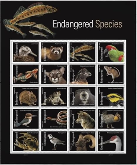 Endangered Species 2023 - 5 Sheets / 100 Pcs