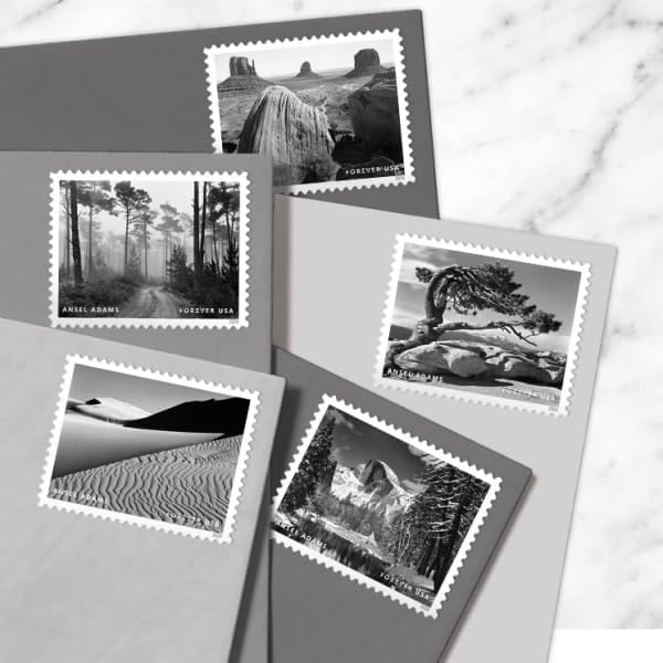 Ansel Adams 2024 - 5 Sheets / 80 Pcs