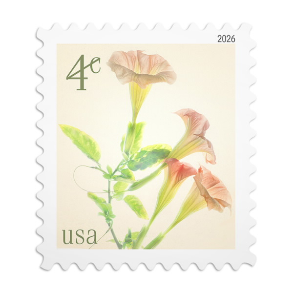 4¢ Angel's Trumpets