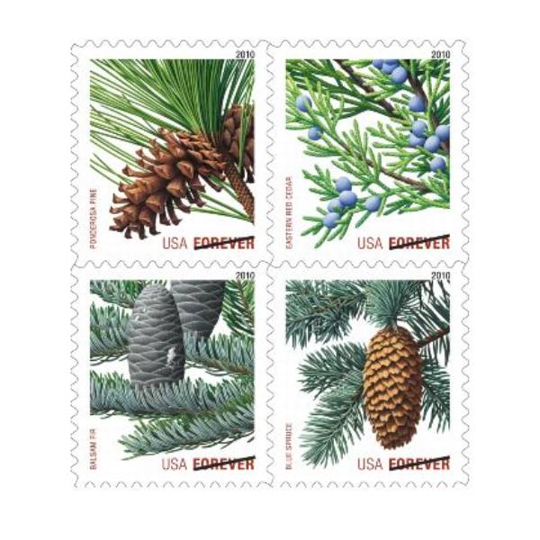 Holiday Evergreen 2010 - 5 Sheets / 100 Pcs