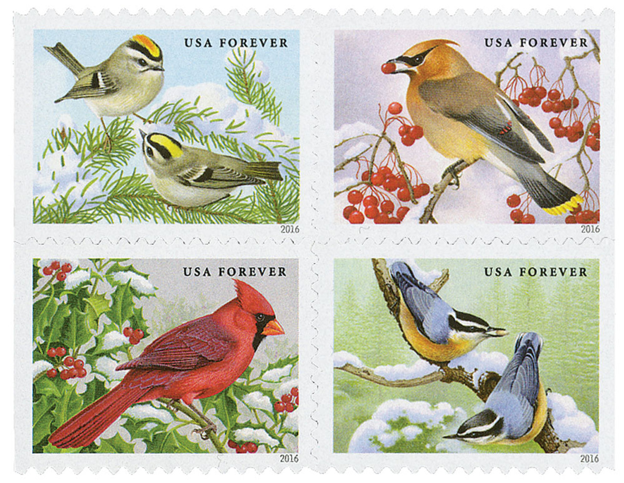 Songbirds In Snow 2016 - 5 Sheets / 100 Pcs