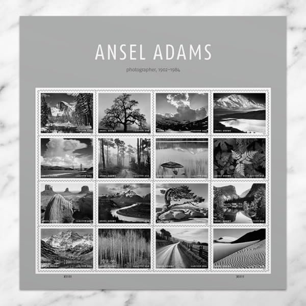 Ansel Adams 2024 - 5 Sheets / 80 Pcs