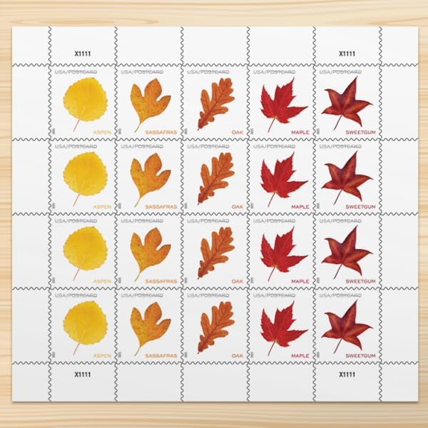 Vibrant Leaves Postcard 2025 - 5 Sheets / 100 Pcs