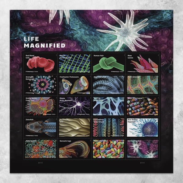 Life Magnified 2023 - 5 Sheets / 100 Pcs