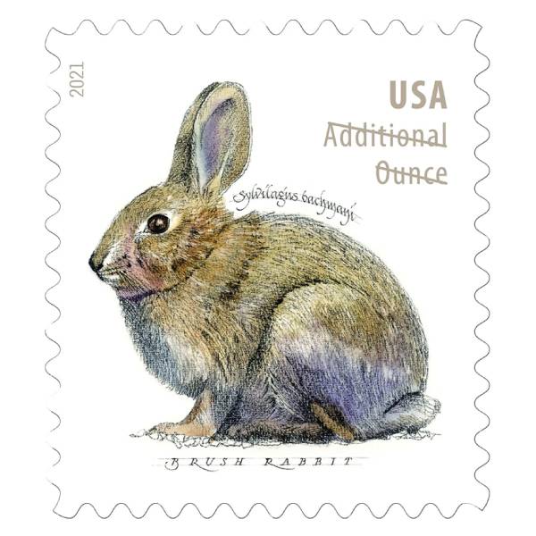 Brush Rabbit 2021 20c - 5 Sheets / 100 Pcs