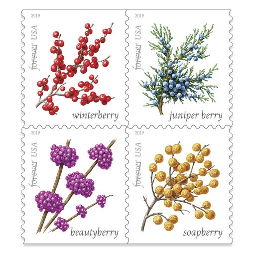 Winter Berries 2019 - 5 Sheets / 100 Pcs