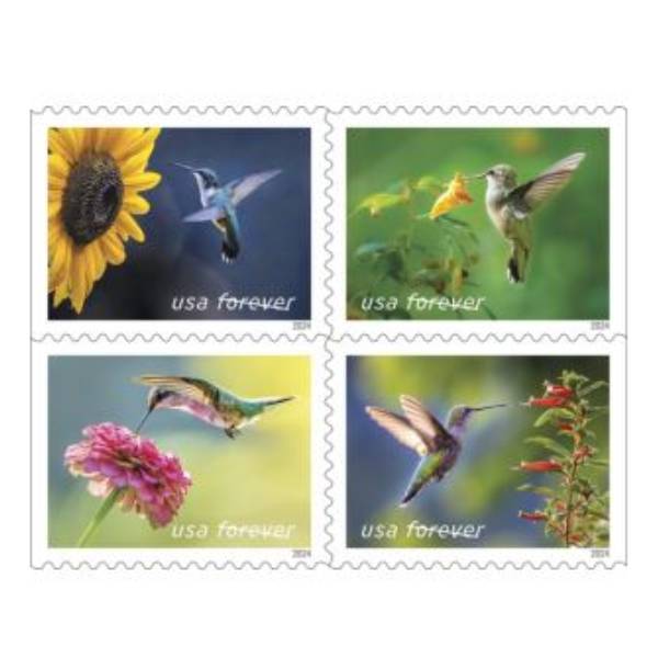 Garden Delights 2024 - 5 Sheets / 100 Pcs