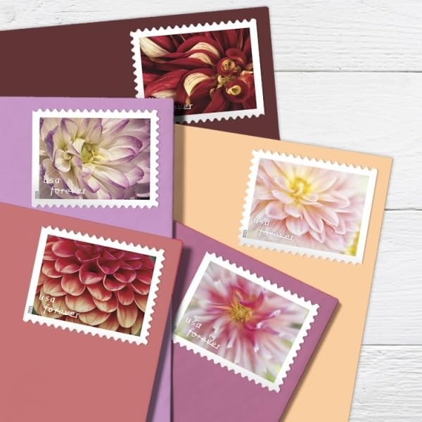 Dahlias 2025 - 5 Sheets / 100 Pcs