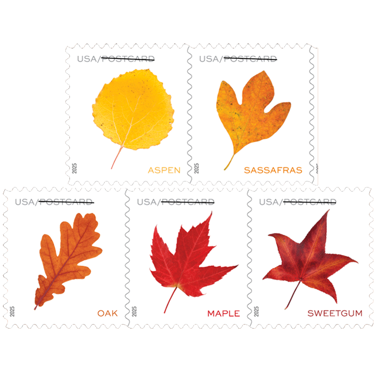 Vibrant Leaves Postcard 2025 - 5 Sheets / 100 Pcs