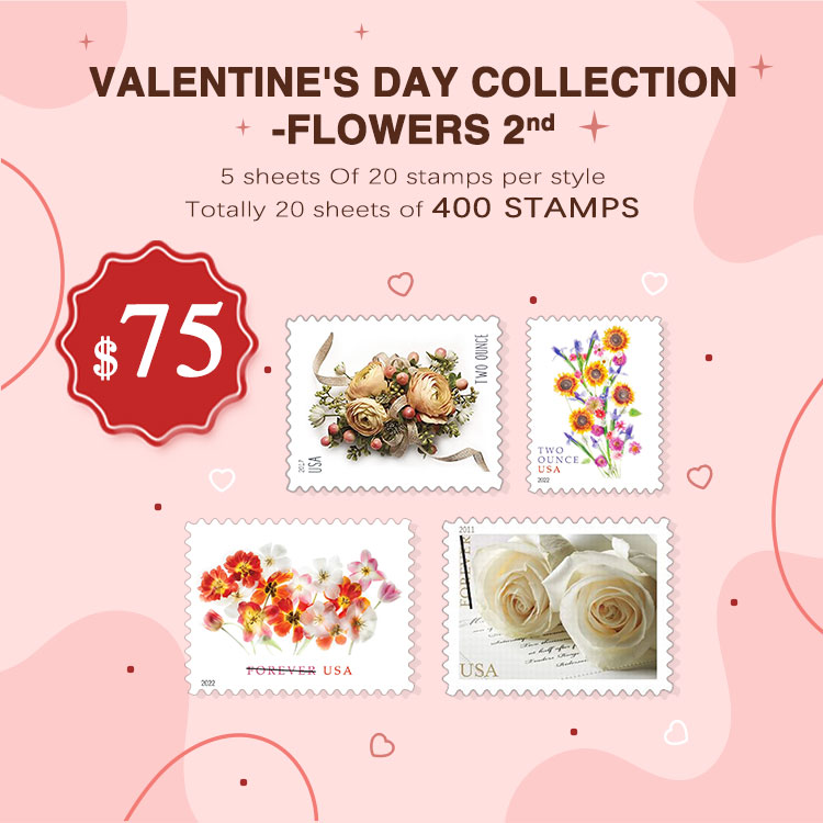 Valentine's Day Collection
