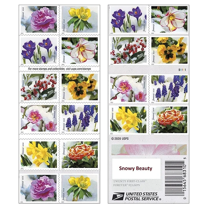 Snowy Beauty 2022 - 5 Booklets / 100 Pcs