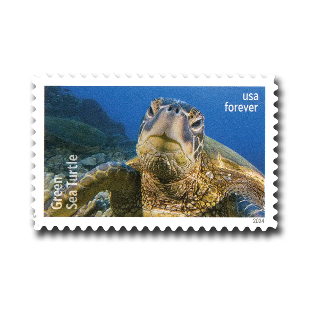 Protect Sea Turtles 2024 - 5 Sheets / 90 Pcs