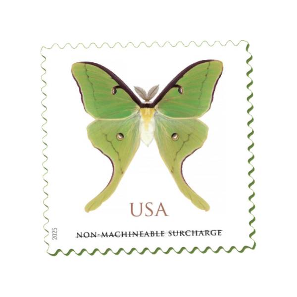 Luna Moth 2025 - 5 Sheets / 100 Pcs